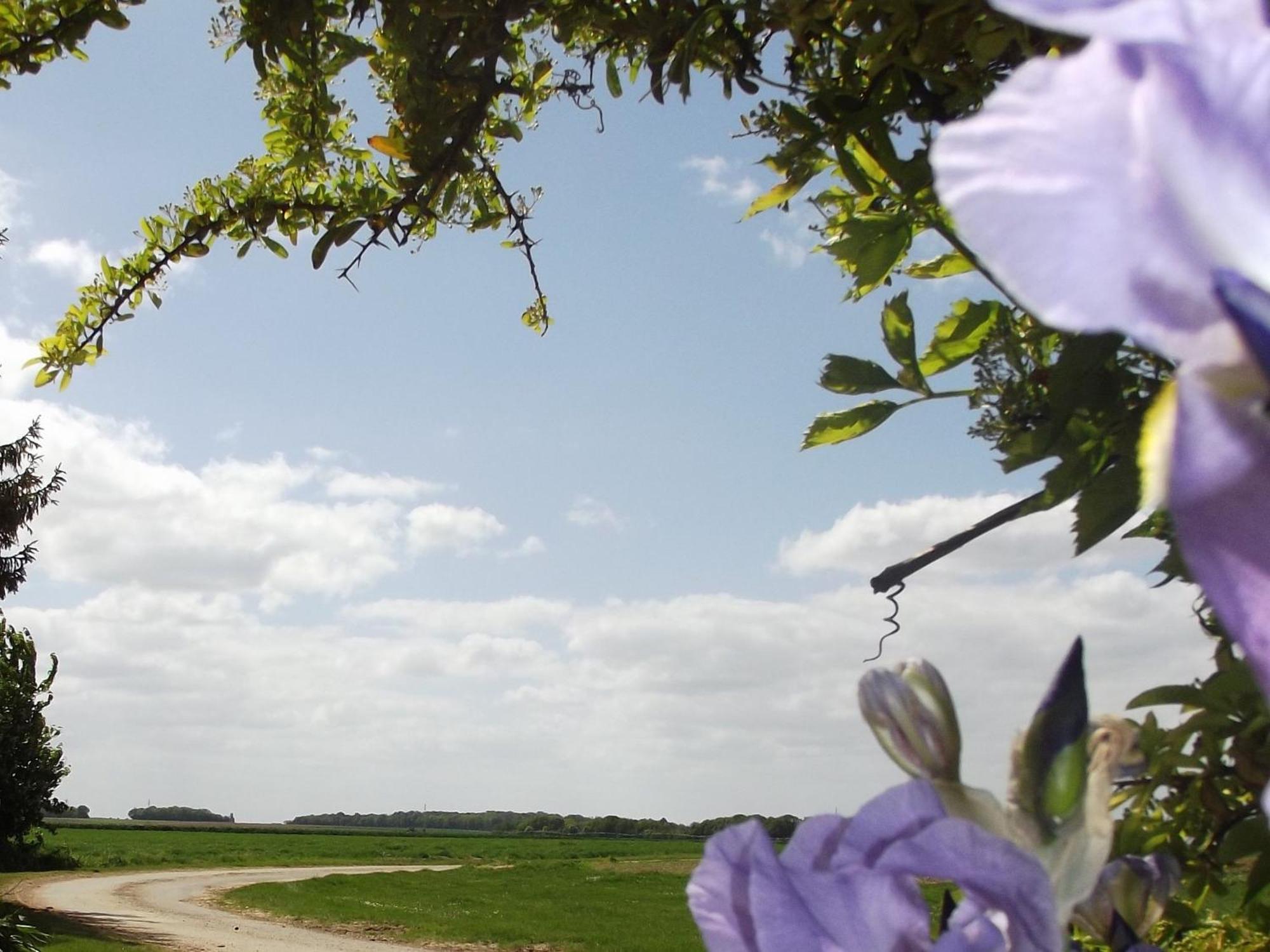 Charmante Maison De Campagne Avec Jardin Prive, Pres De Paris Et Orleans, Ideale Pour Familles - Fr-1-590-136 Audeville 外观 照片