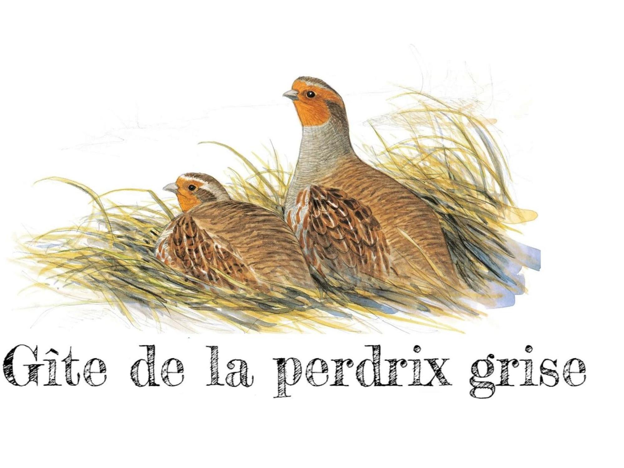 Charmante Maison De Campagne Avec Jardin Prive, Pres De Paris Et Orleans, Ideale Pour Familles - Fr-1-590-136 Audeville 外观 照片